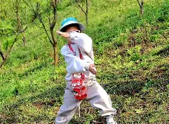 雷火竞技官网 -关于??SF瞧??S?熃€峧洐堝铅Aw贅?的信息